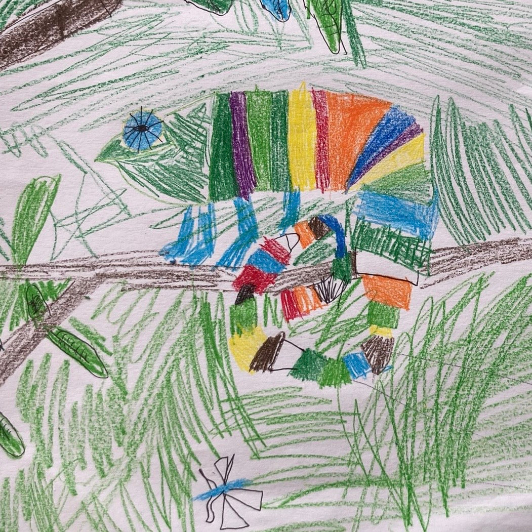 A brightly coloured Childs drawing of a rainbow chameleon